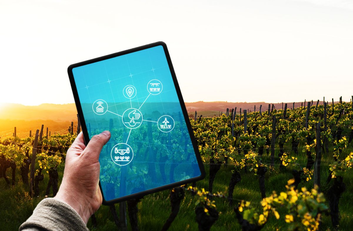 Future-Wine-Expo-02262019125423000000-5c7536ff8ead1